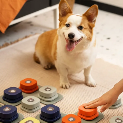 Pet Communicator