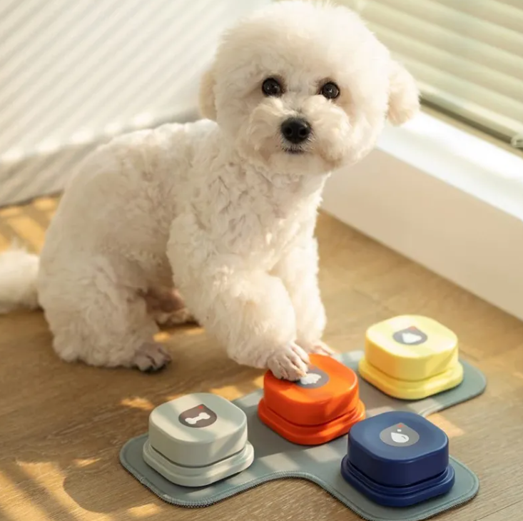 Pet Communicator