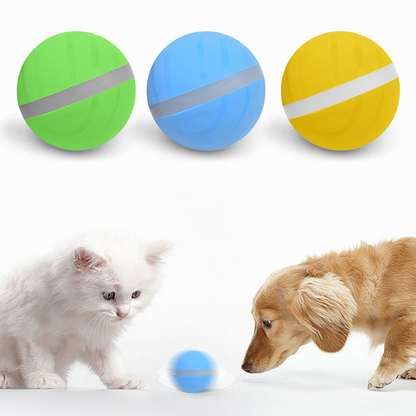 USB Charging Smart Pet Ball