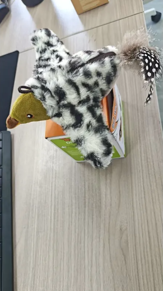 Plush Bird Toy