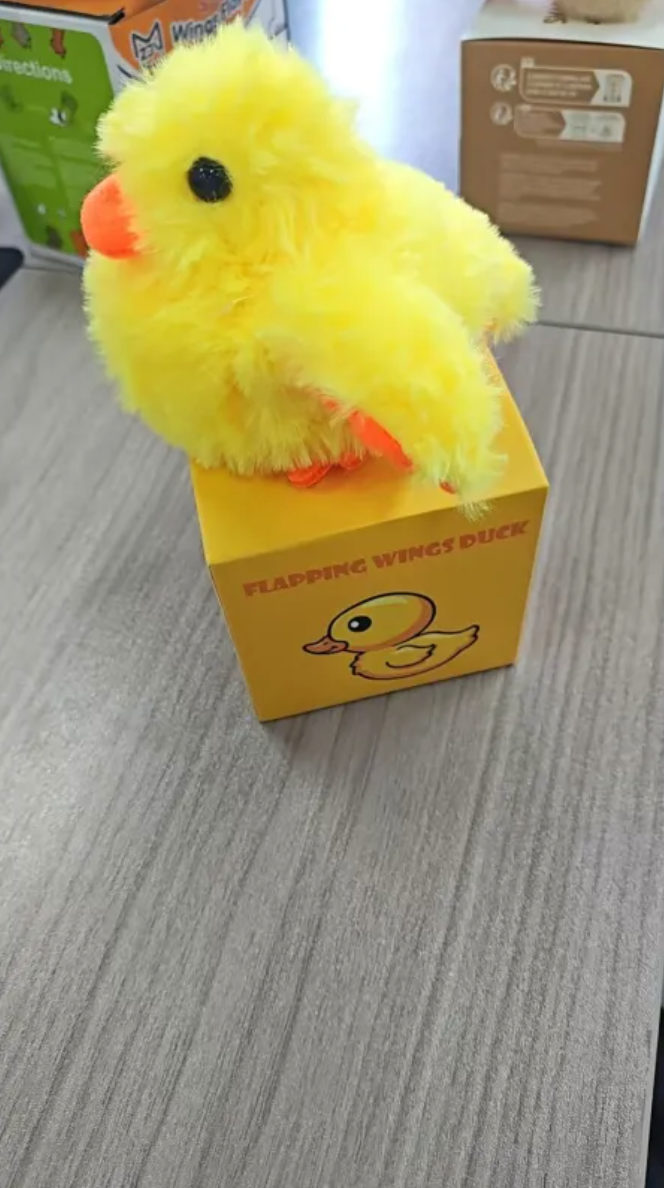 Plush Bird Toy